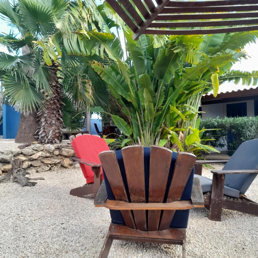 Caribbean Chillout Apartments Playa Eksteriør billede