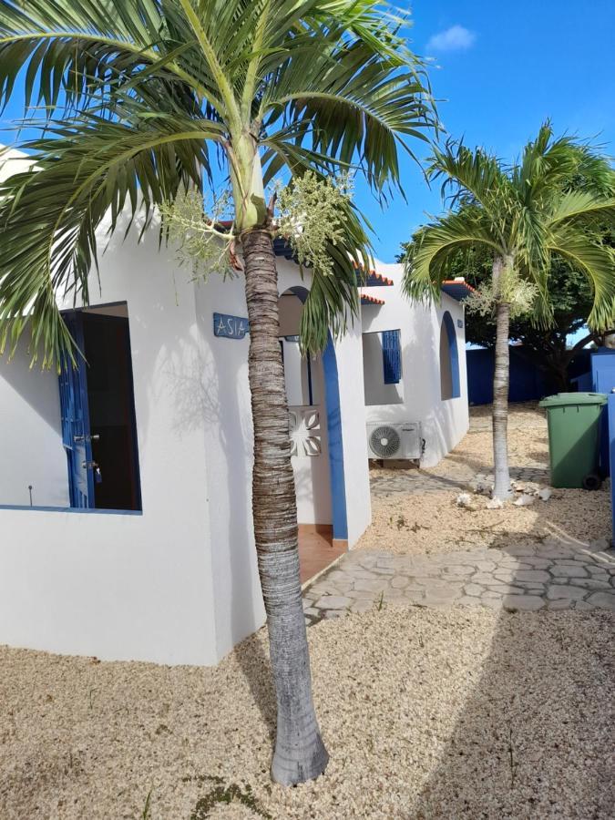 Caribbean Chillout Apartments Playa Eksteriør billede