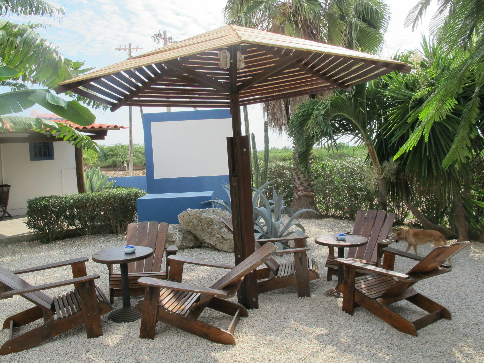Caribbean Chillout Apartments Playa Eksteriør billede
